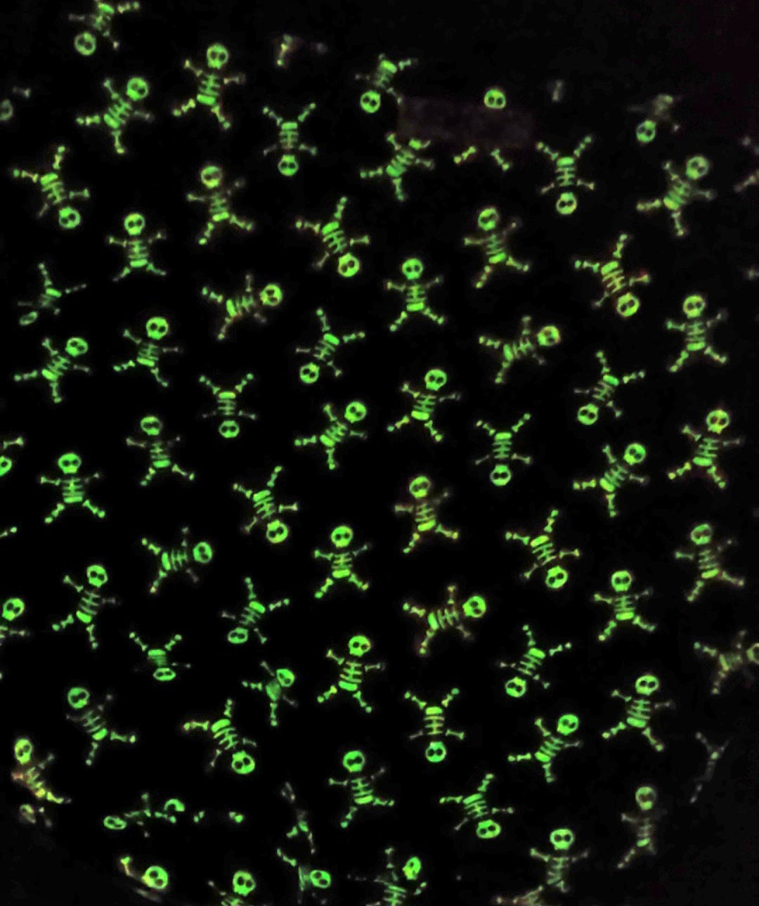 "Glow in the Dark" Trick or Treat Bags
