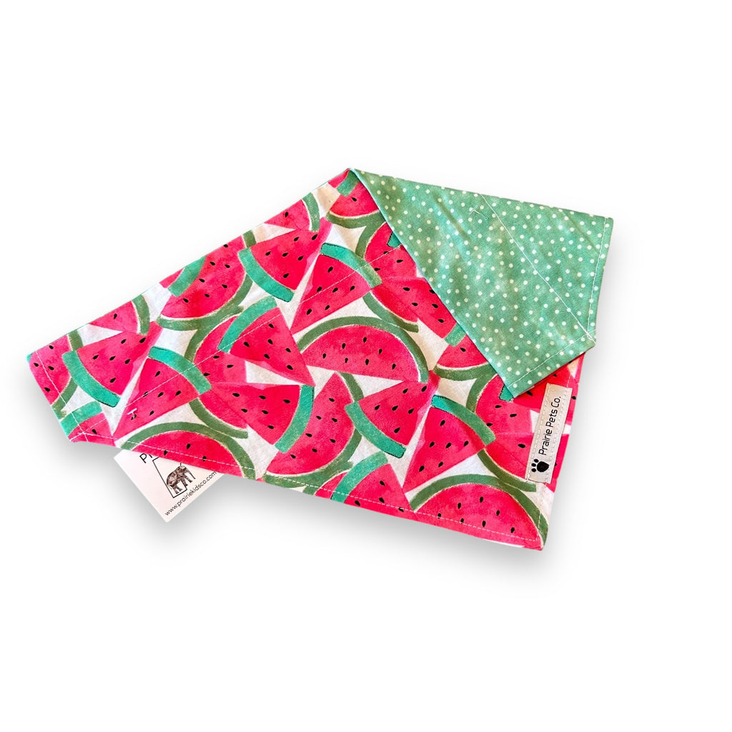 Pet Bandana - Reversible